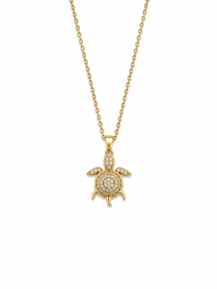 Cadena Tortuga Brillante