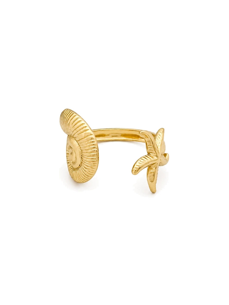 Anillo Ajustable Fusión Marina