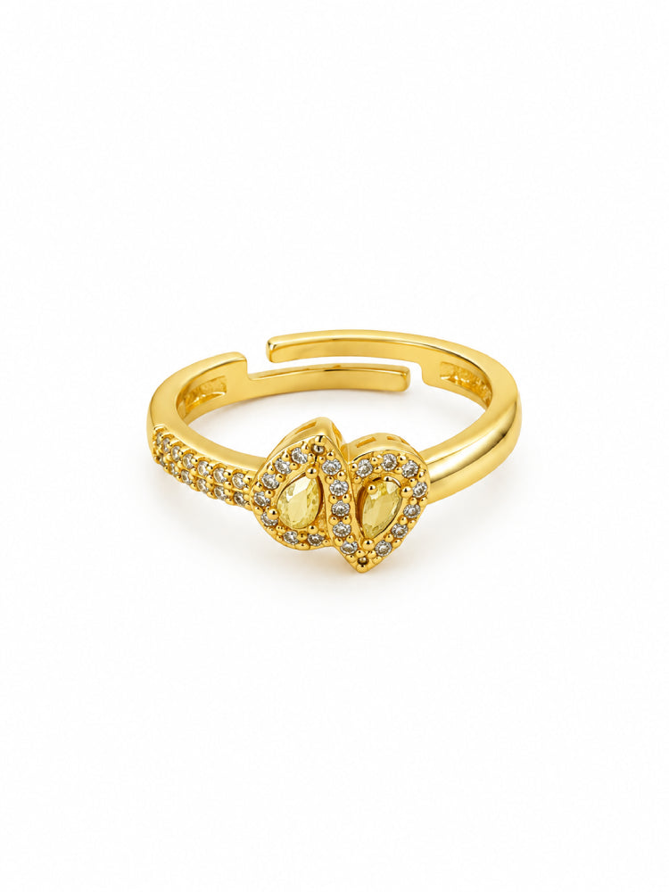 Anillo Hojas de Luz